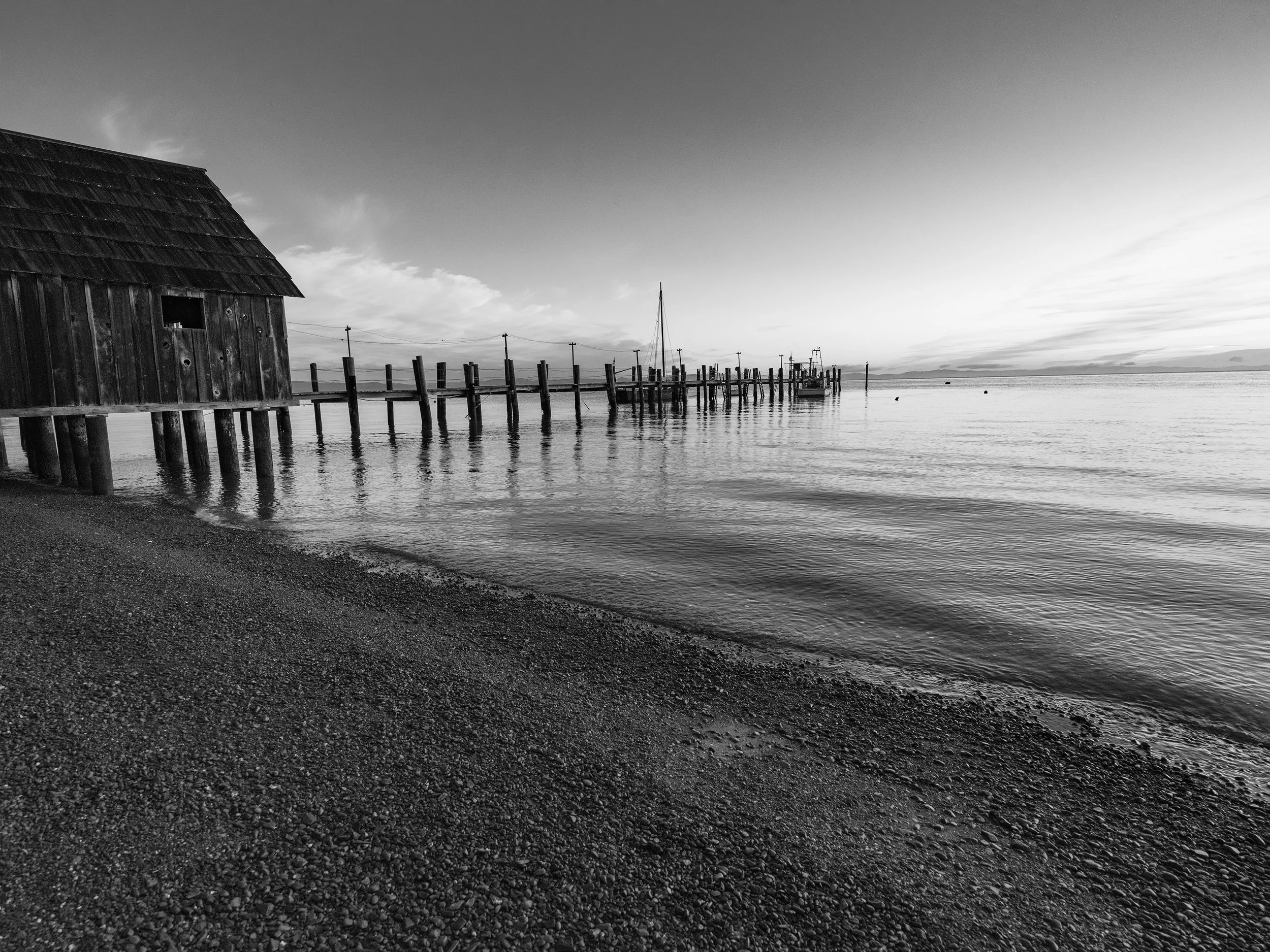 _DSF1590-Edit-2-Edit-Edit copy.jpg