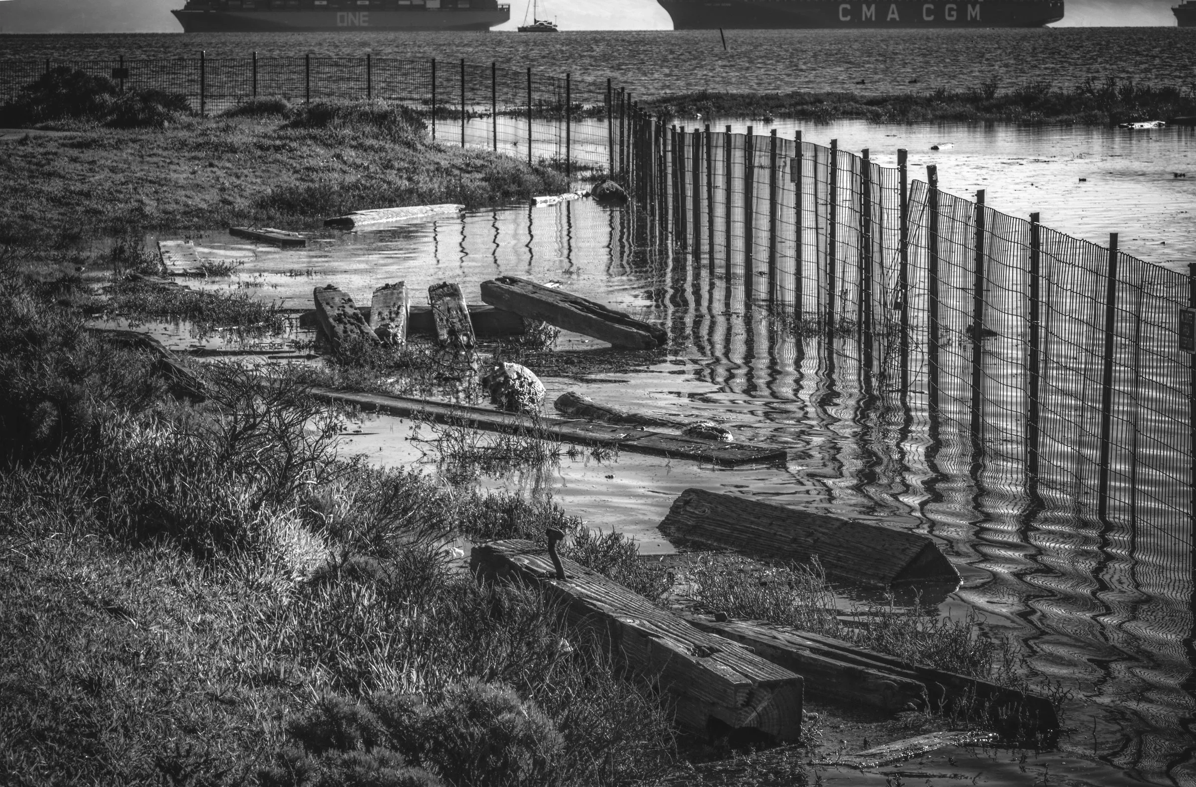  KING TIDE AT HERON'S HEAD, TWO SHIPS PASSING (2022) 
