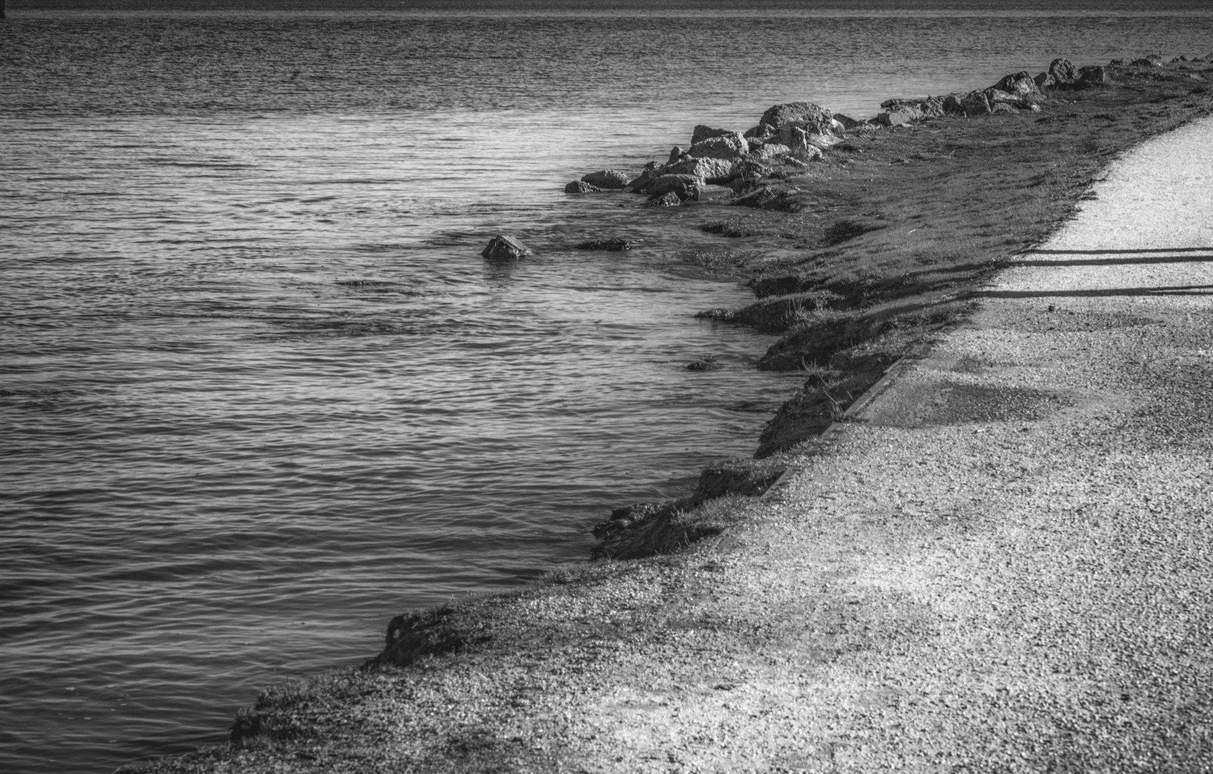 THE PATH, HERON'S HEAD  2022