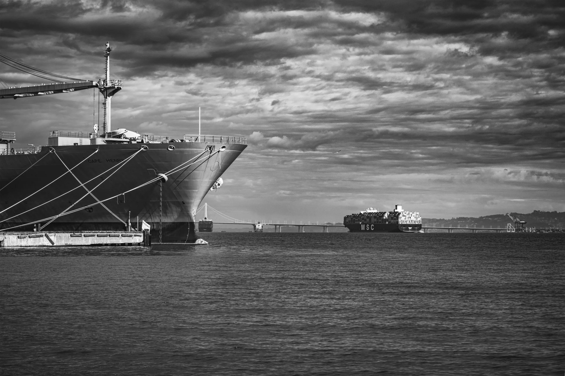 TWO SHIPS, HERON'S HEAD  2022