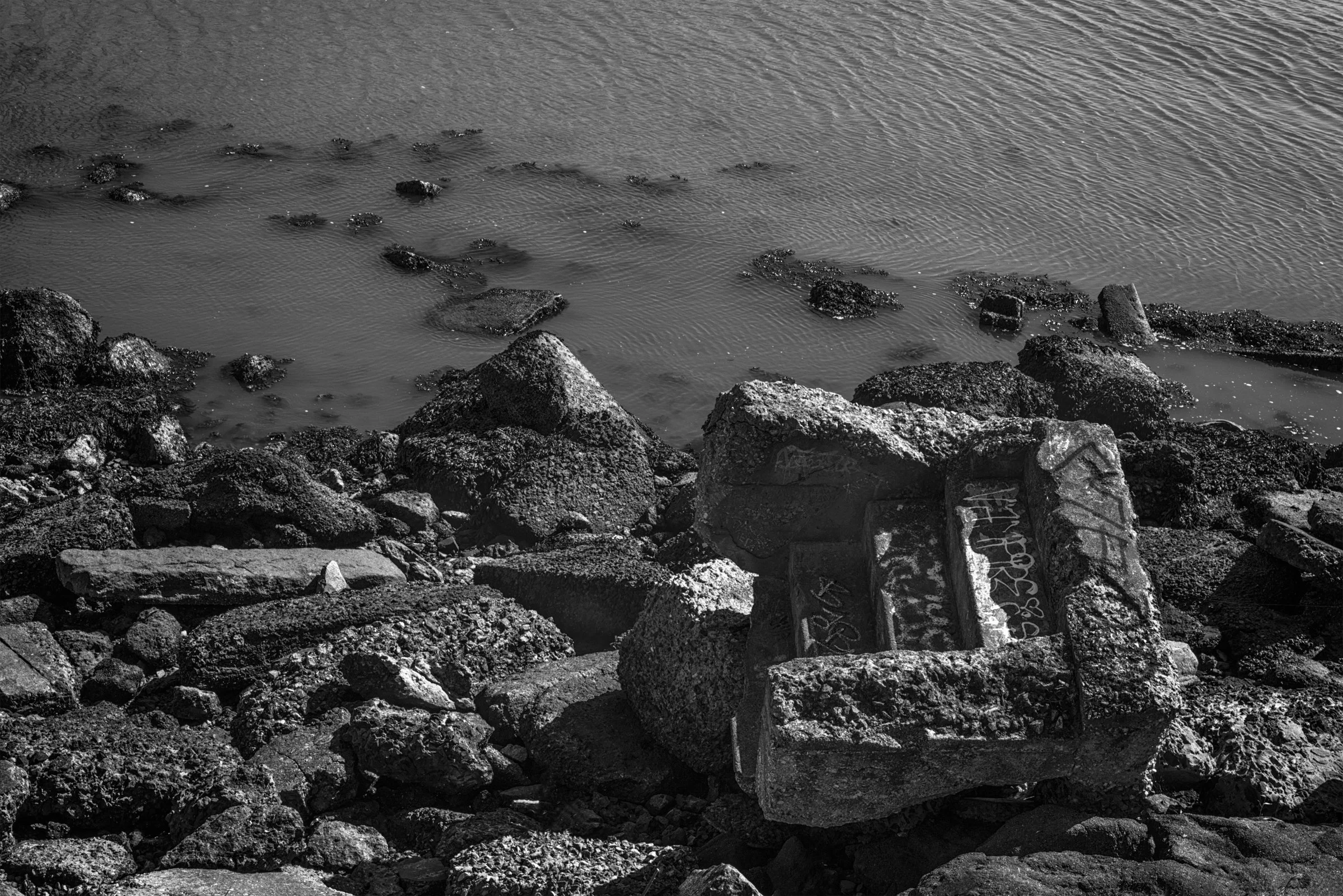 SHOVED INTO THE WATER (2022)