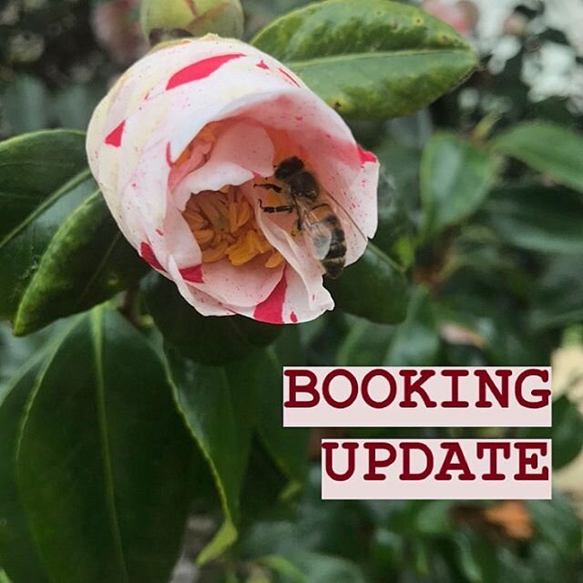 Hi all! We&rsquo;ve received lots of inquiries about booking during this time, so I wanted to do a reminder/update post!
The shop is still closed until further notice from the state of Oregon. Once we have an official date for re-opening, our booking