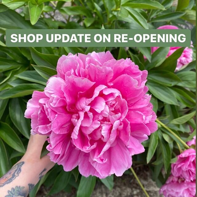 Hi all! ✨
We are back in the shop starting this week! Due to extra safety measures we are implementing related to COVID-19, our re-booking process will be slow, but steady. For all clients with appointments that need to be rescheduled, you will be he