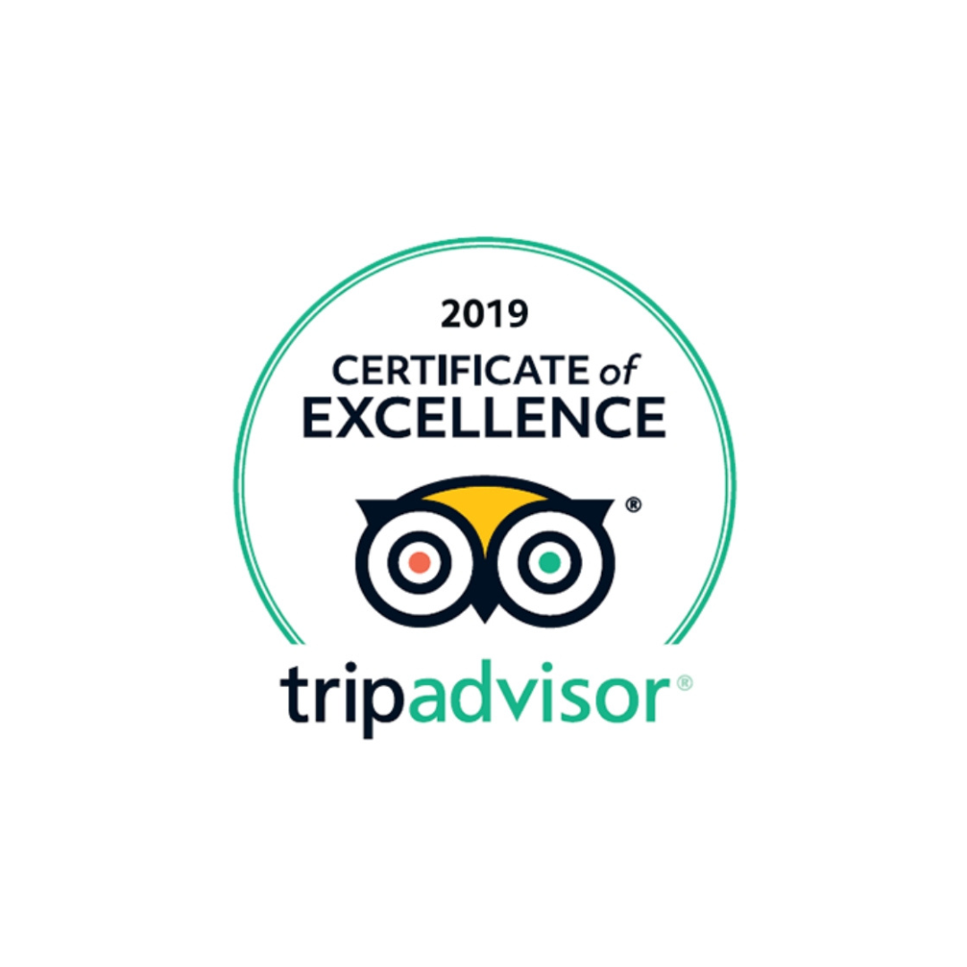 Certificate of Excellence 2019 1x1.png