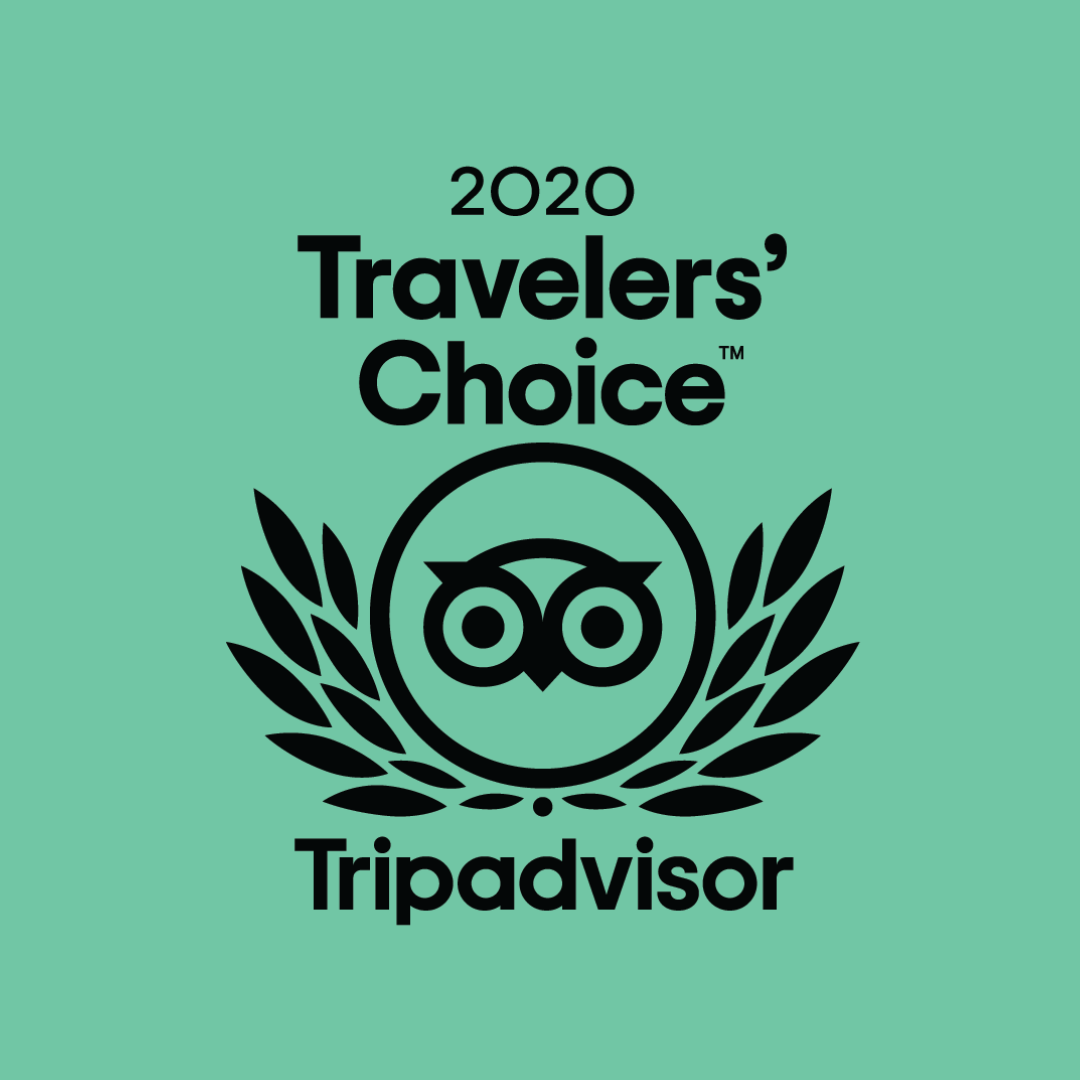 Traveller's Choice 2020 1x1.png