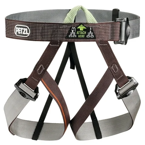 gym harness.jpg