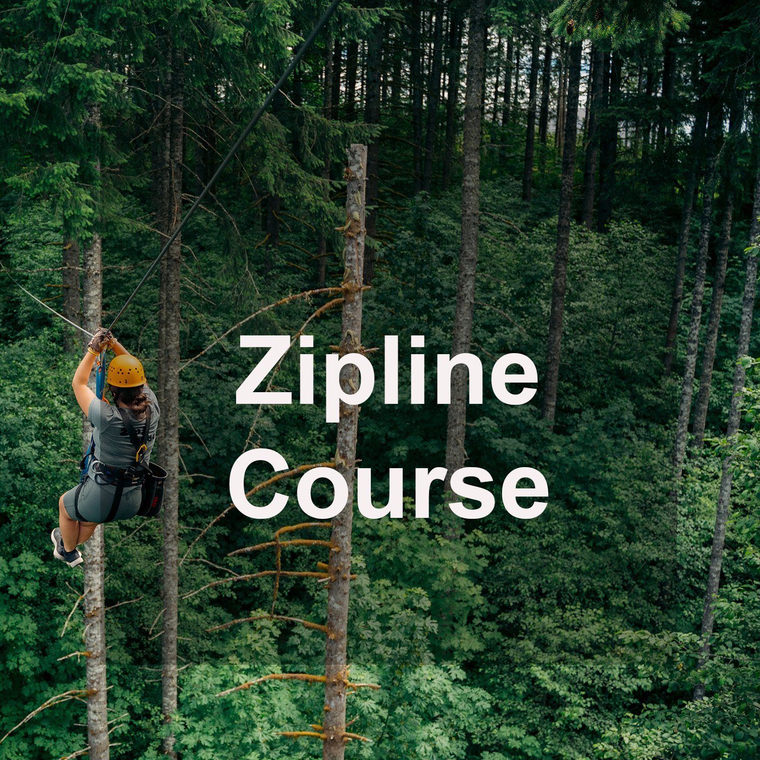 Syergo July Email_ Zipline-course.jpg