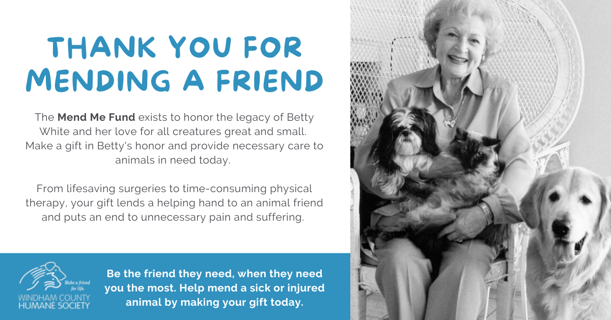 The Mend Me Fund in honor of Betty White — Windham County Humane Society