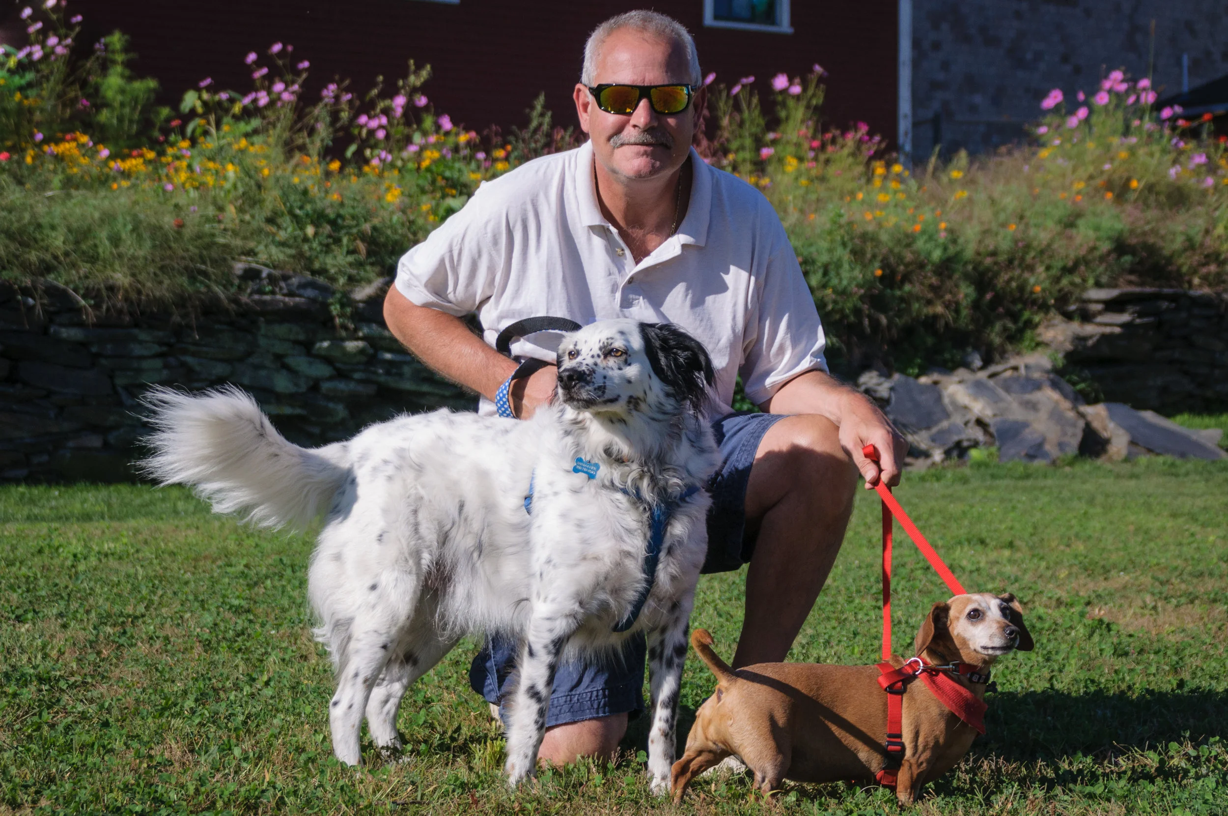 bringing home a second dog