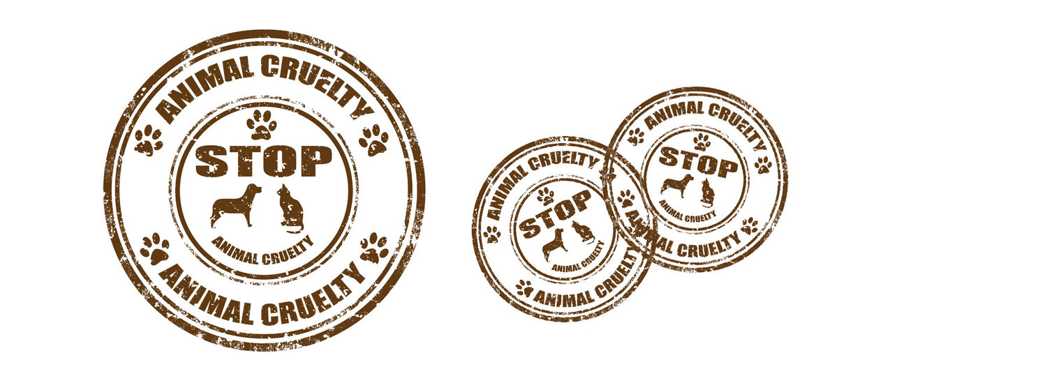 Report Cruelty | Neglect — Windham County Humane Society