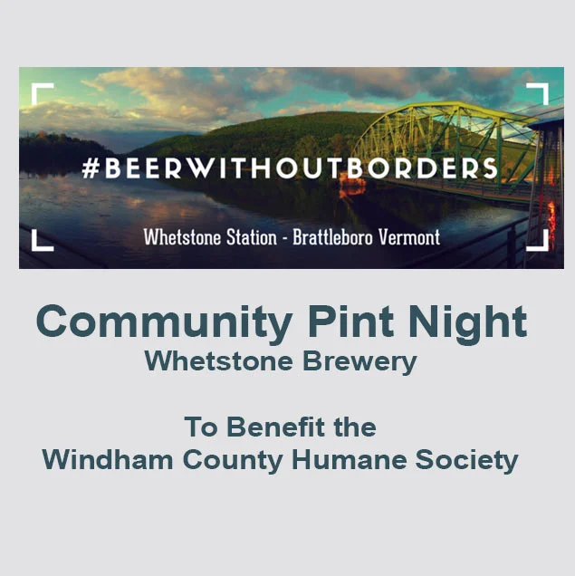 Brewery-night-banner.jpg