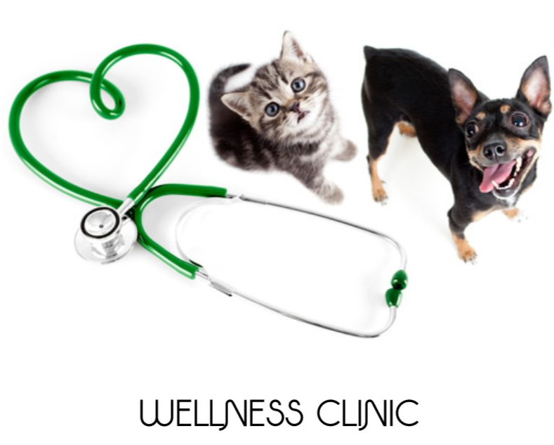 WELLNESS CLINIC.jpg.png