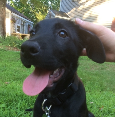 little+duke.jpeg
