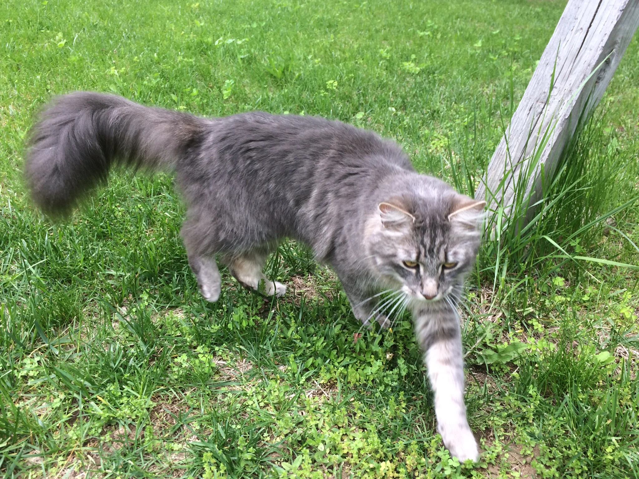 image1.jpeg