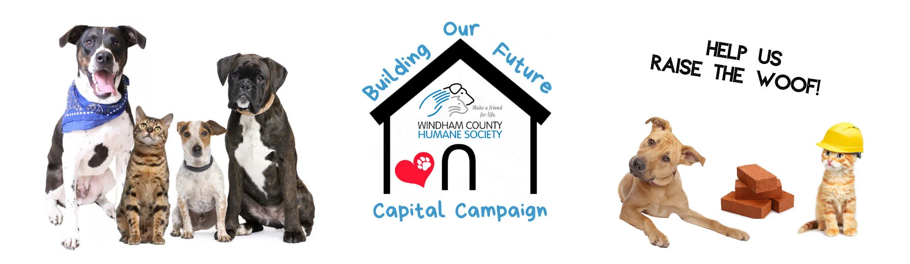 windham animal shelter