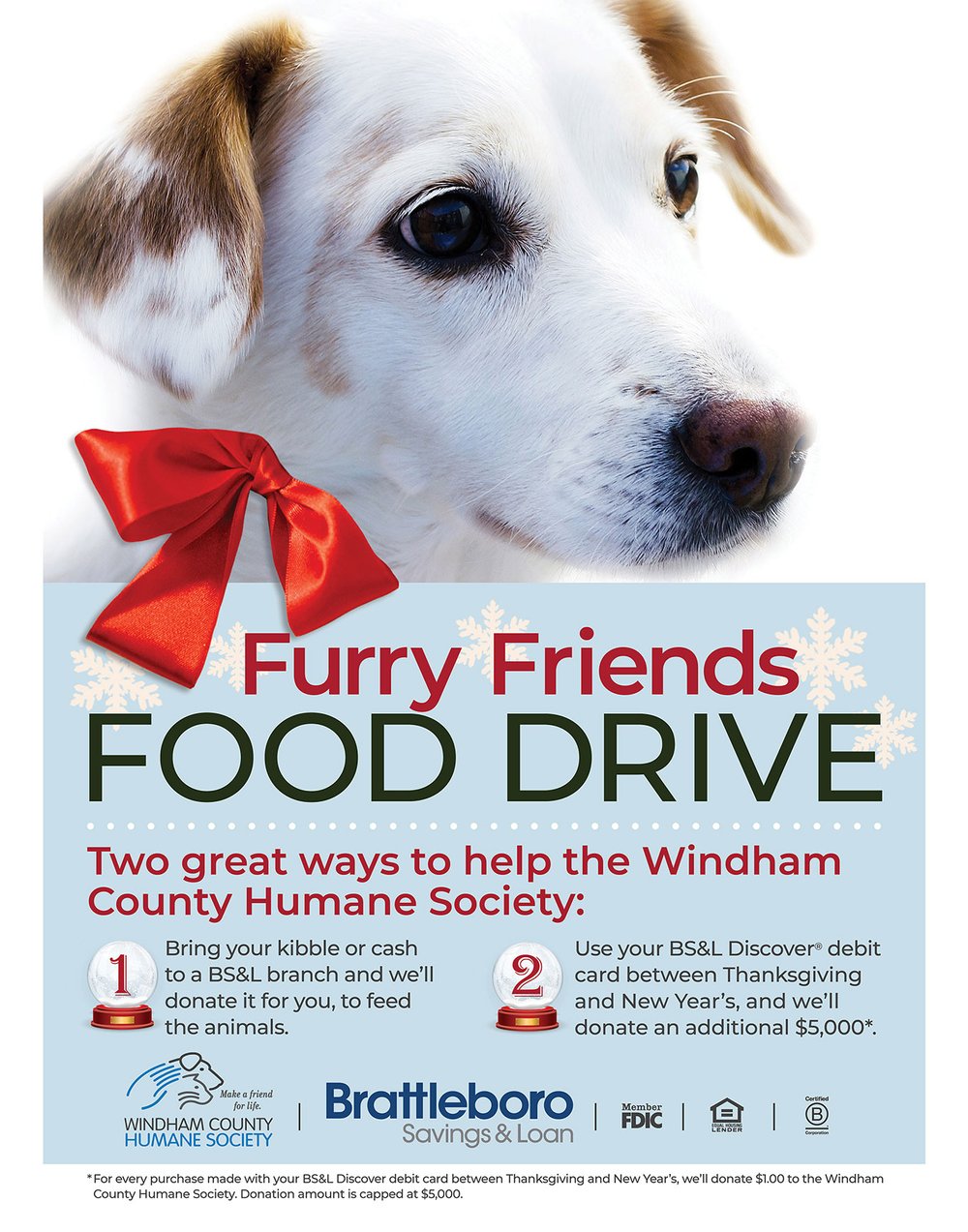 BS&L Furry Friends Food Drive — Windham County Humane Society BS&L Furry Friends Food Drive — Windham County Humane Society