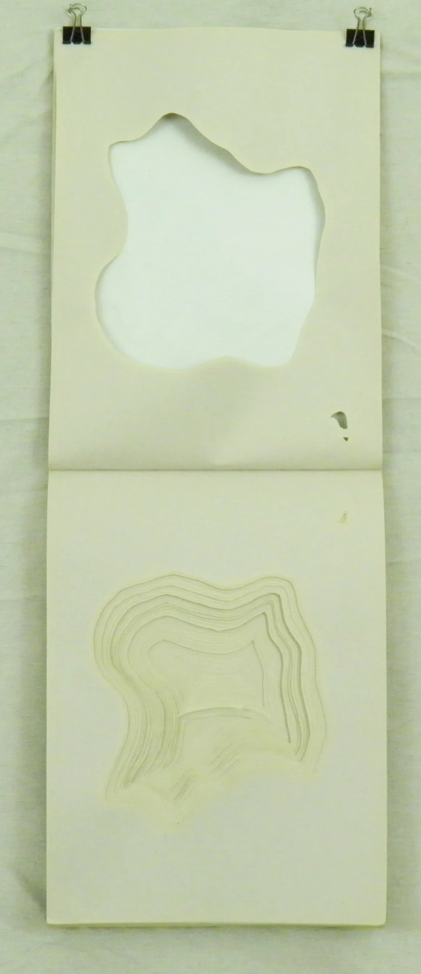 newsprint cutout small (open)