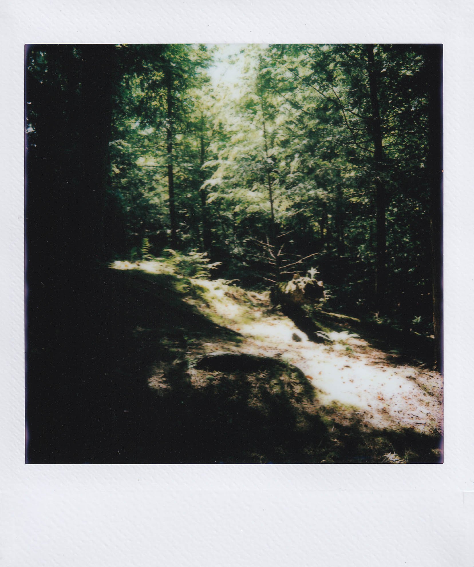 saranc lake second camping spot 1, sunday, 7-6-25.jpg