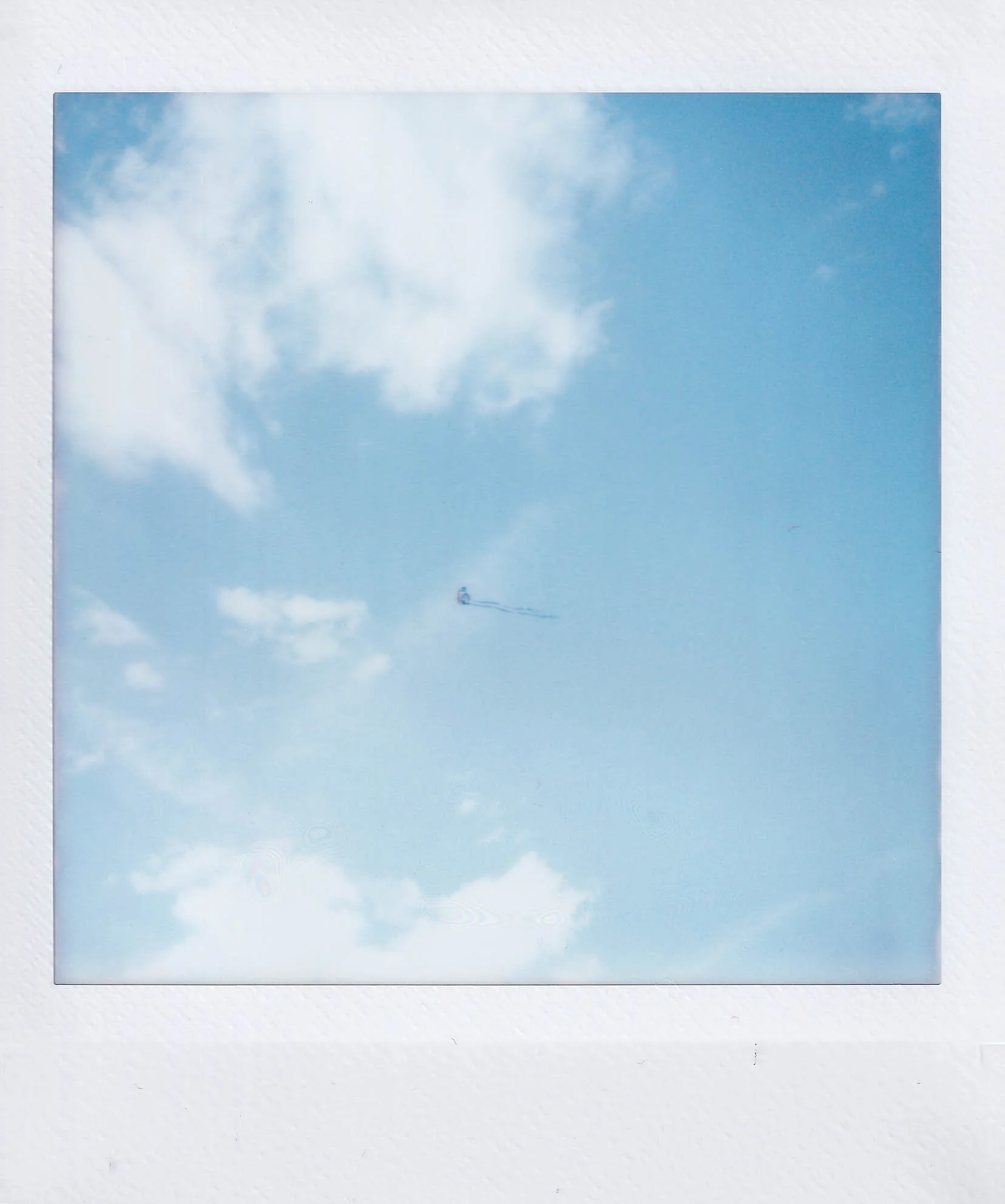 kite above the nelson lawn, after waking up from a nap, sunday, 8-24-25.jpg
