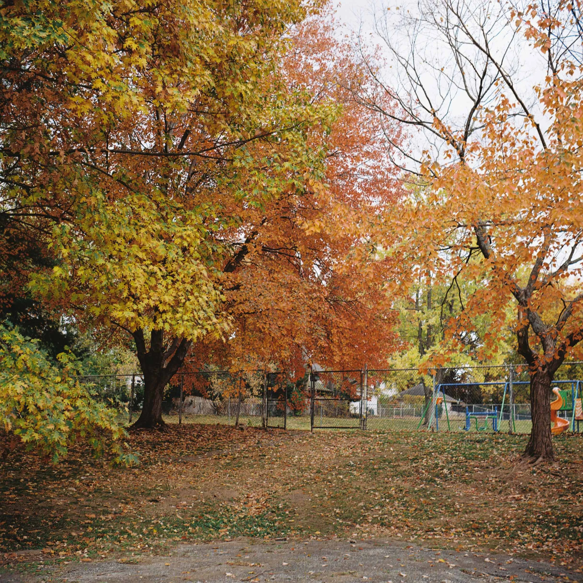 R1-04891-0000.jpg