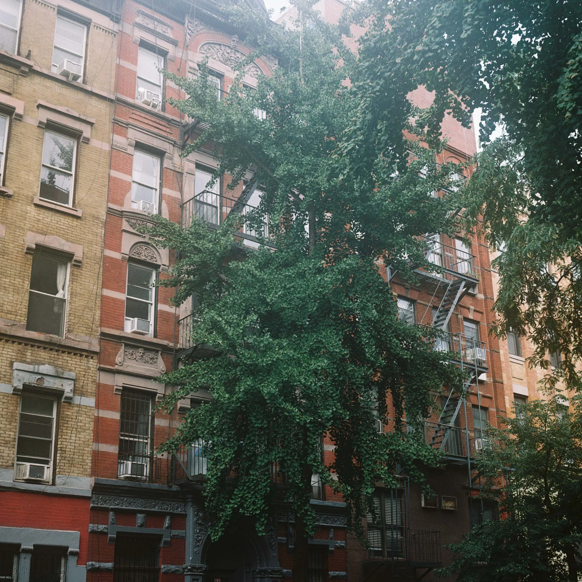 R1-04025-0003.jpg