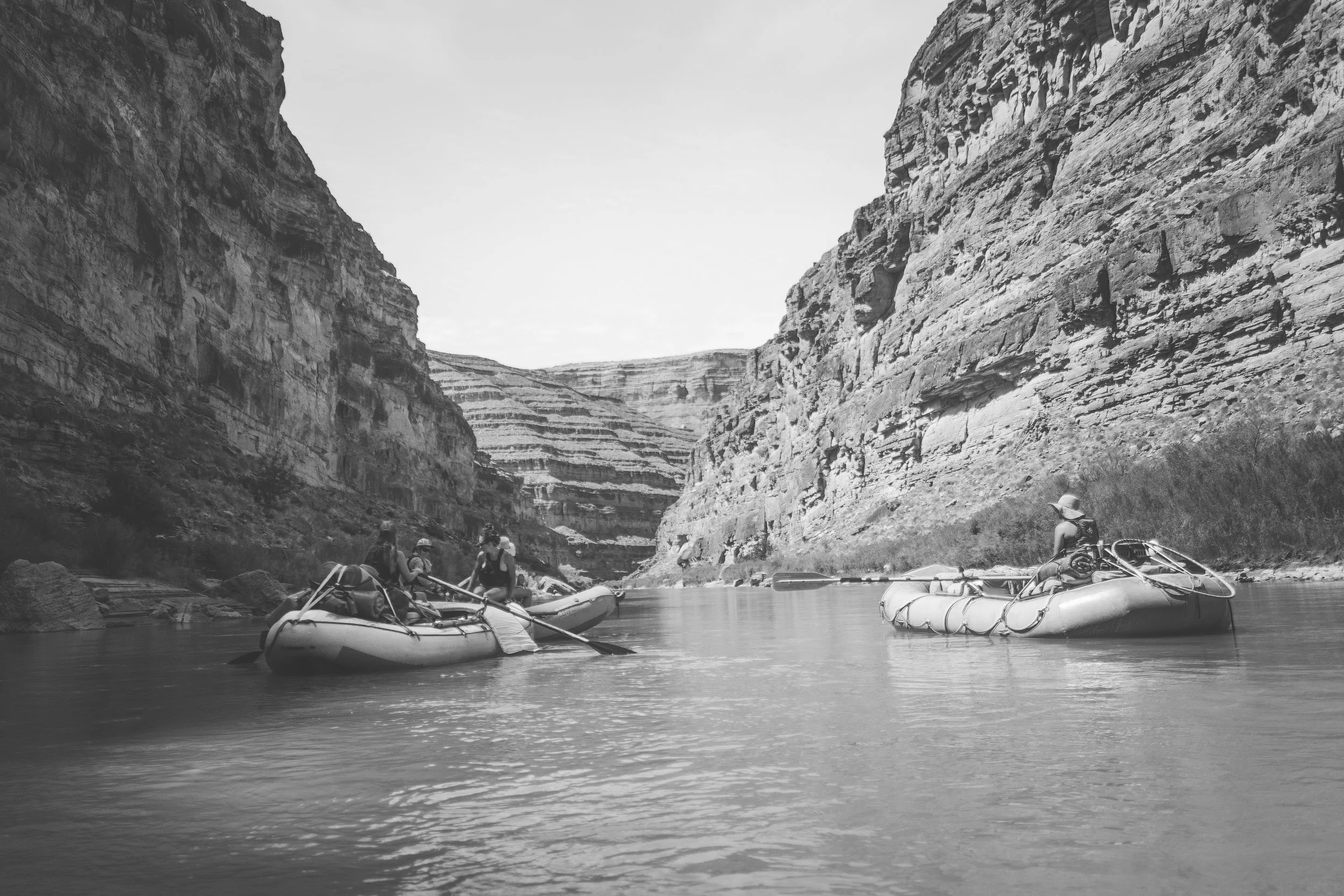 20170821-DSC_0476.jpg