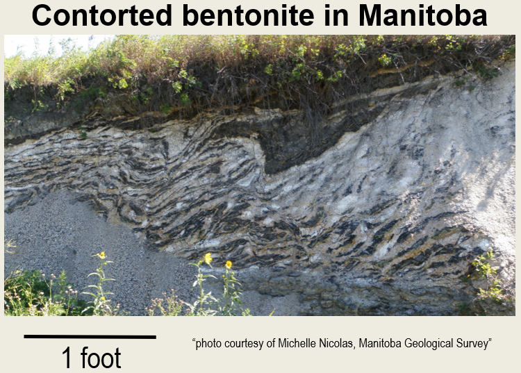 These contorted beds are thought to be caused by ‘glacial ice push’. However, examination of wellbore logs shows that the contorted beds exist underground for about 200 m. Therefore, I interpret these beds simply as exposed contorted beds from within the Great Plains PFS at outcrop. If so, this phenomenon should be considered (where applicable) by geotechnical engineers.