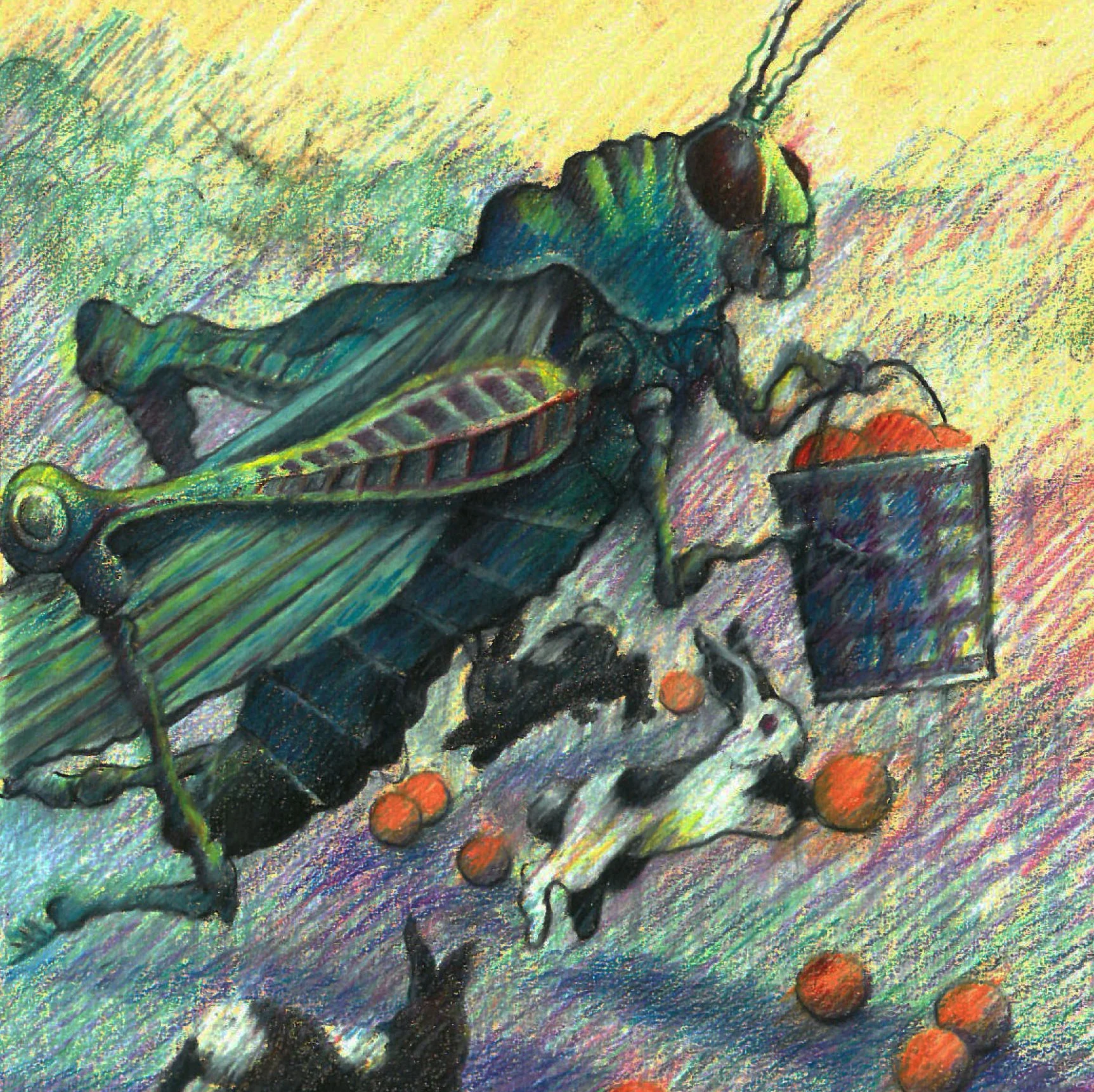 Grasshopper Pale Orange.jpg