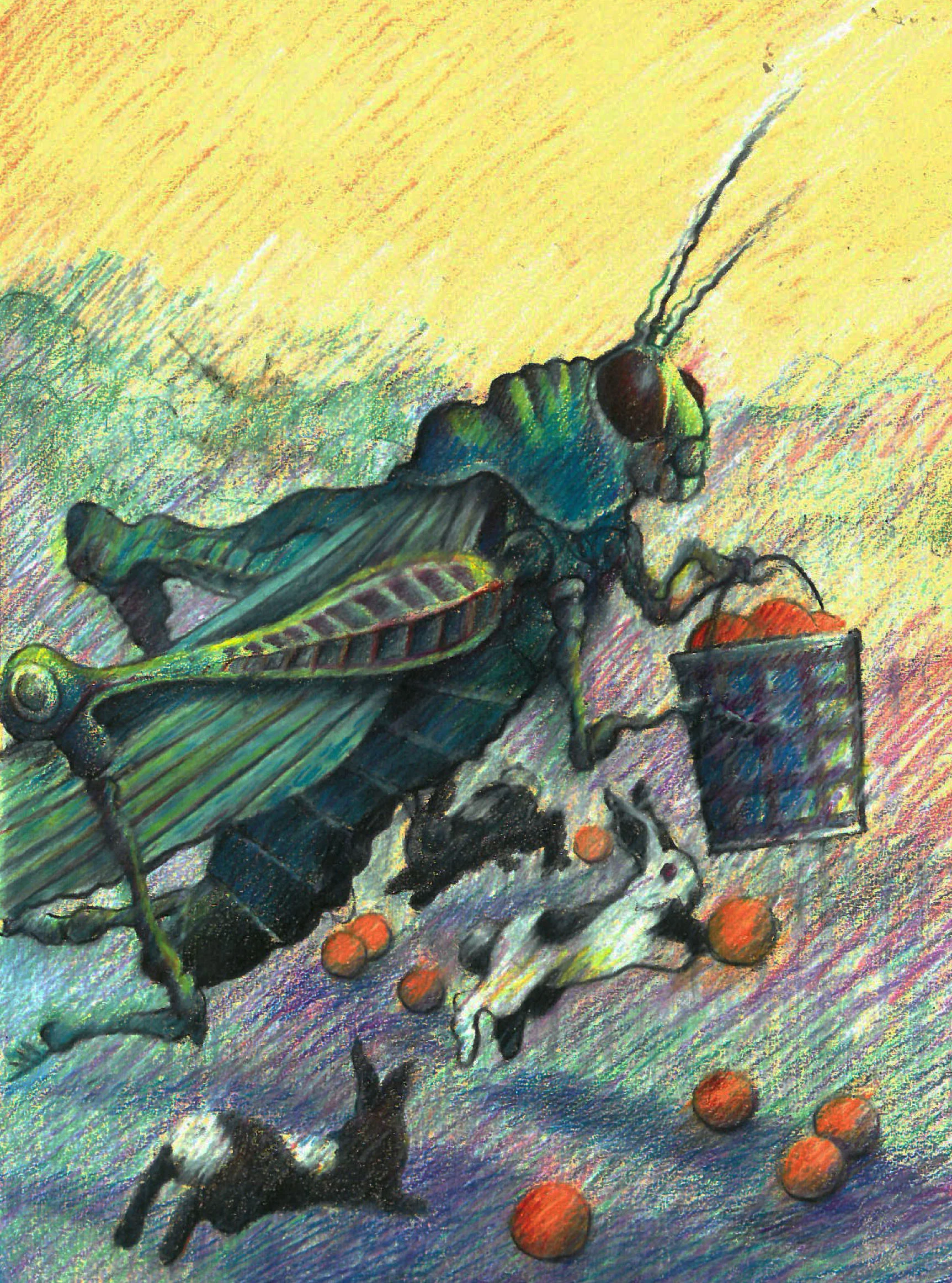 Grasshopper Pail Orange.jpg