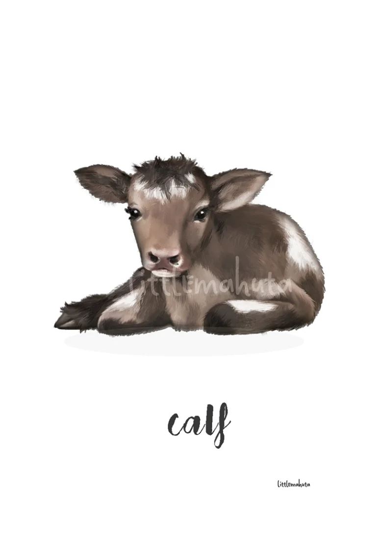 Farm Yard Banter. Cow. Calf