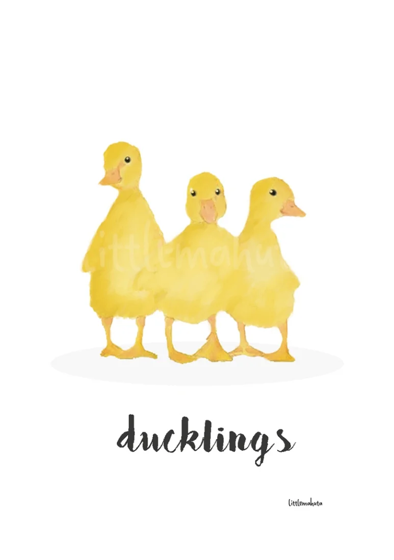 Farm Yard Banter. Duckling. Duck