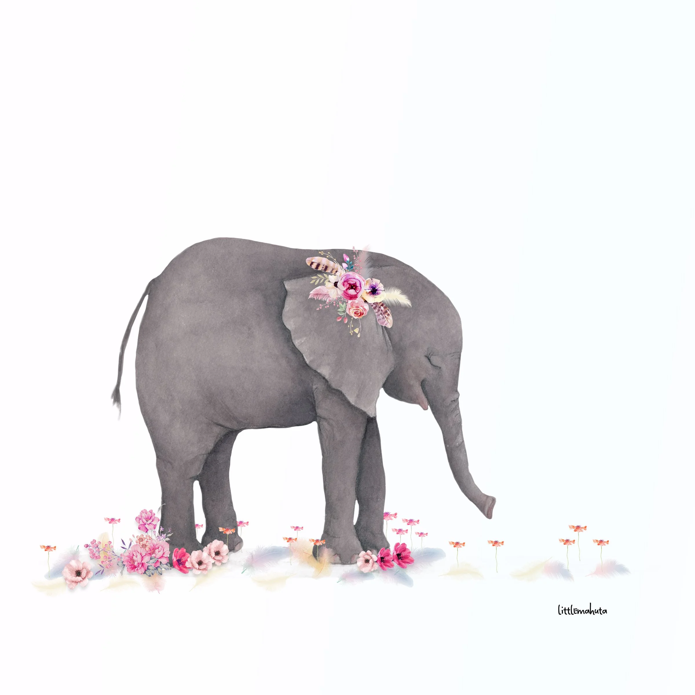 New Release - Baby Elephant -Tread Lightly