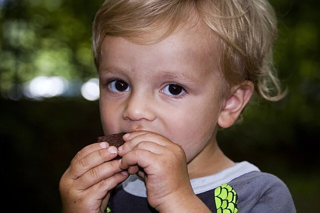 Kids didn't vote to be hungry