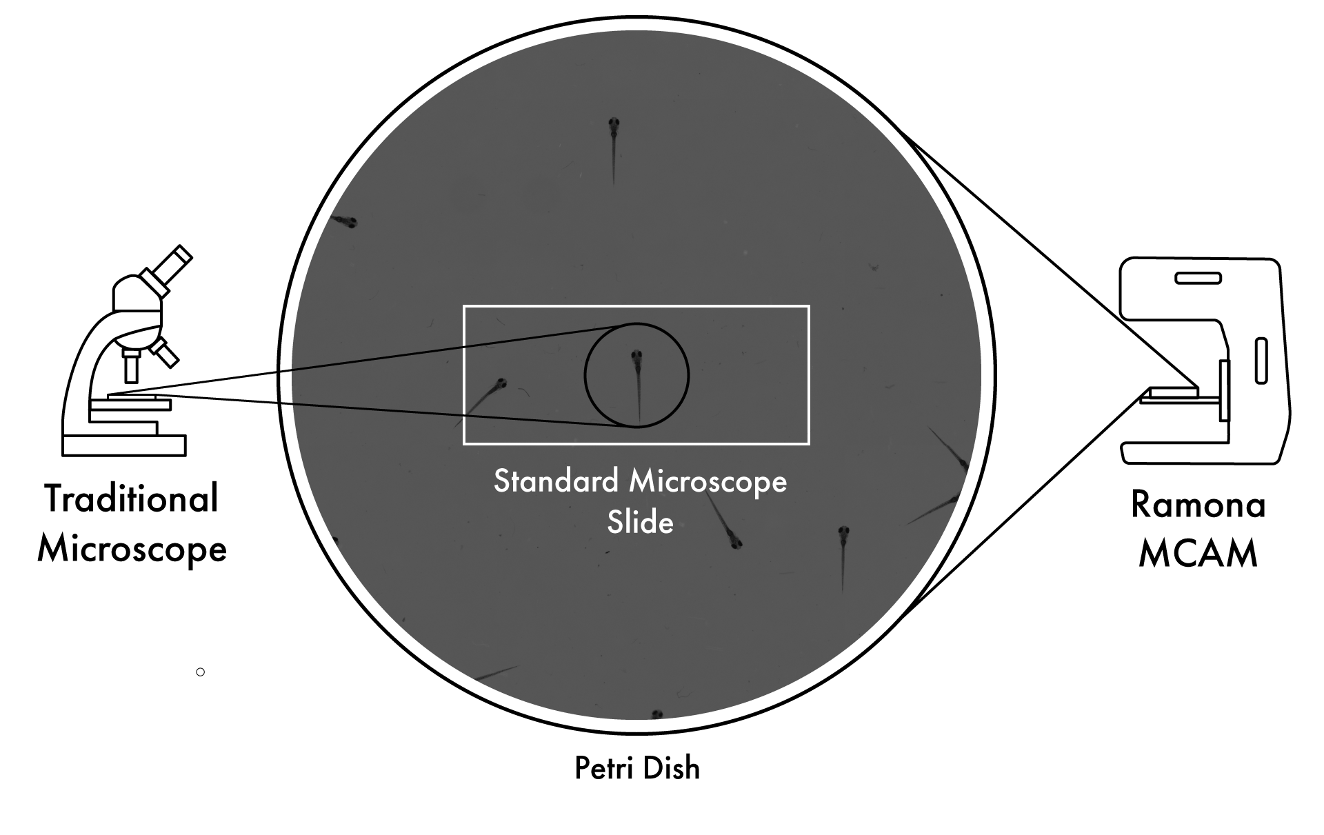 Microscope-Comparison-1.png
