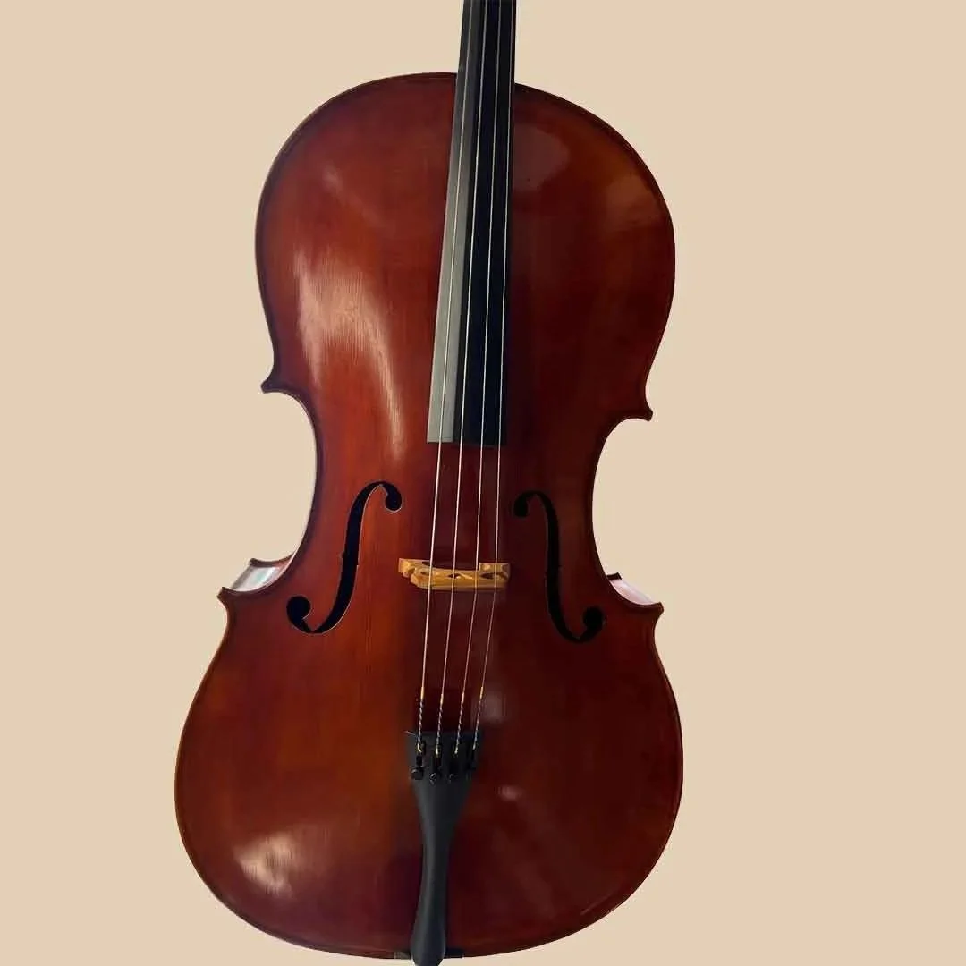 Used-Eastman-200-Cello-01.jpg