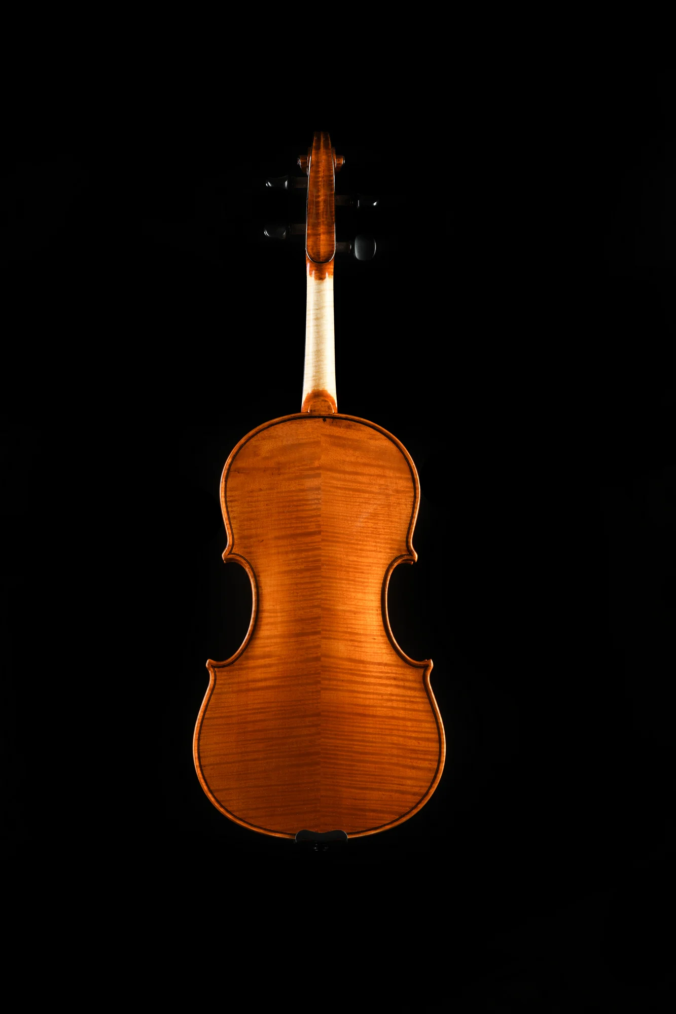 DTW_6329_web.jpg