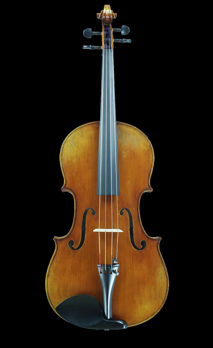Eastman 305