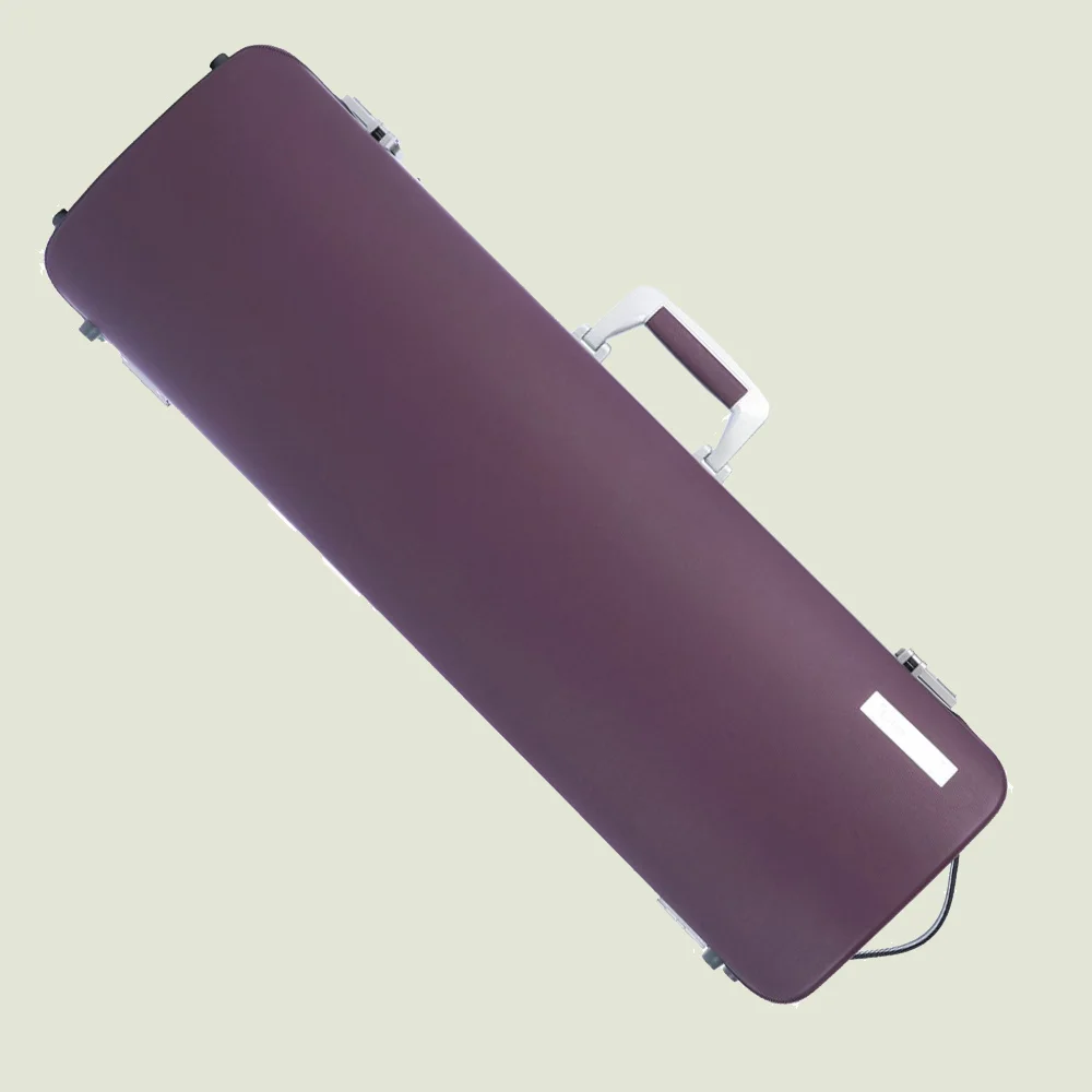 HightechLEtoileOblongViolinCasePurple.jpg