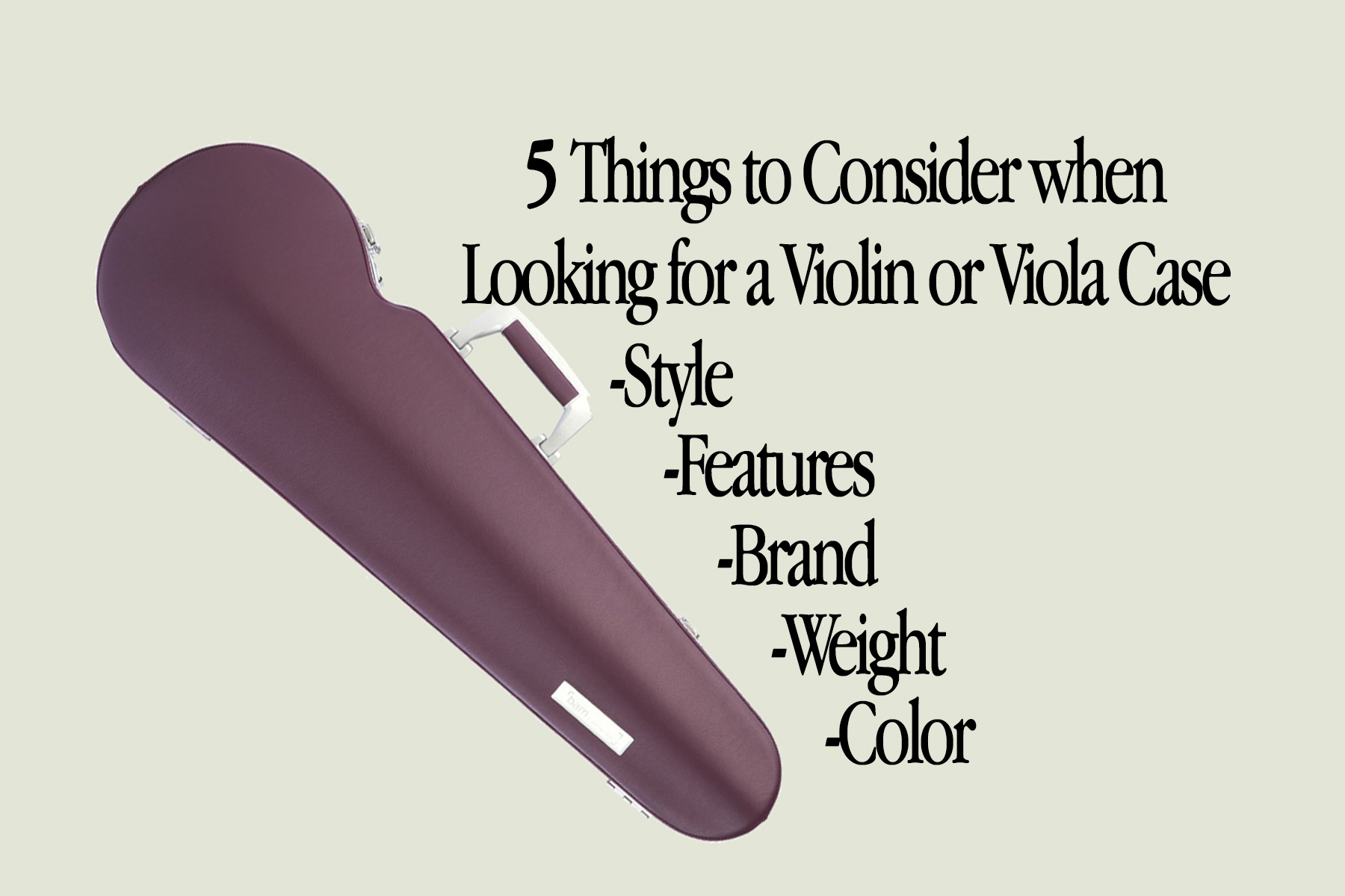 A to buying a case for violins violas — Vermont Violins