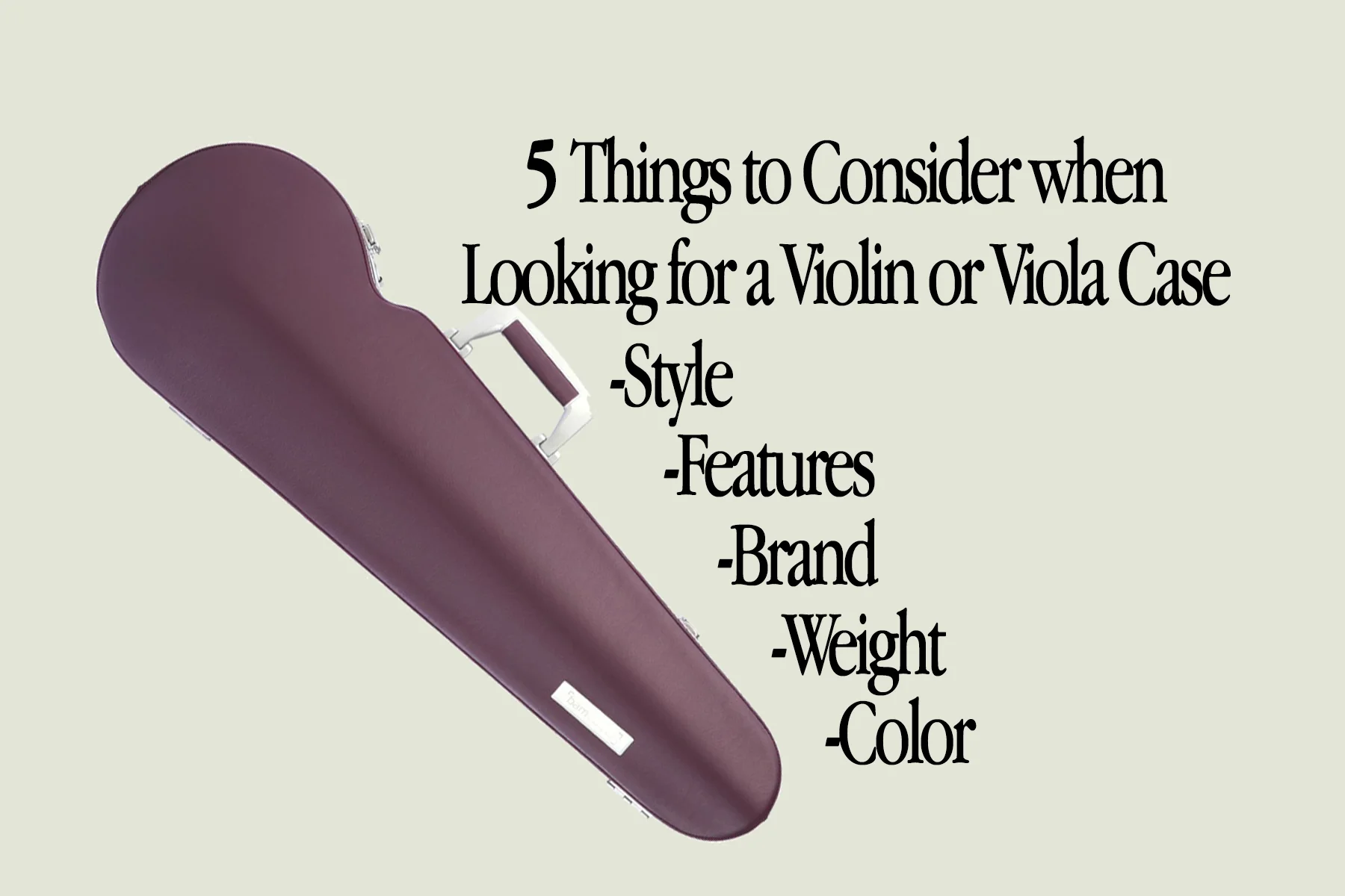 ViolinCaseStyles.jpg