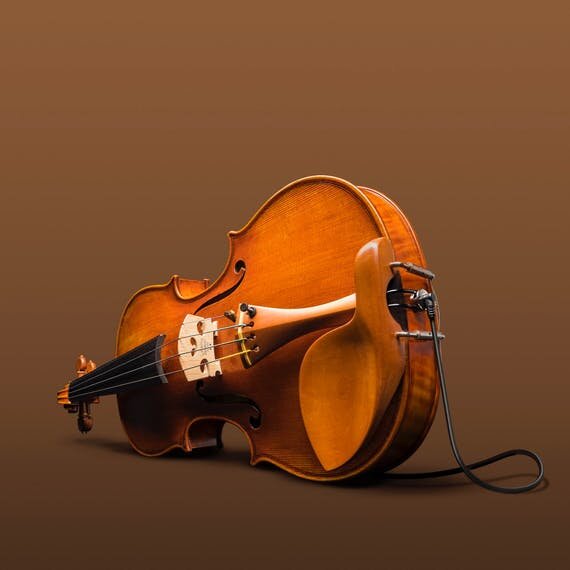 Eastman Electro-Acoustic STV305 — Violins