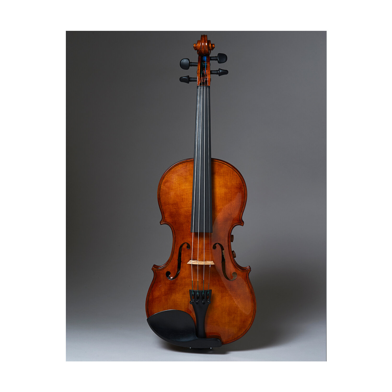 En todo el mundo Aventurero Cortar Realist RV4 PRO Series 4-String String Electric-Acoustic Violin For Sale —  Vermont Violins