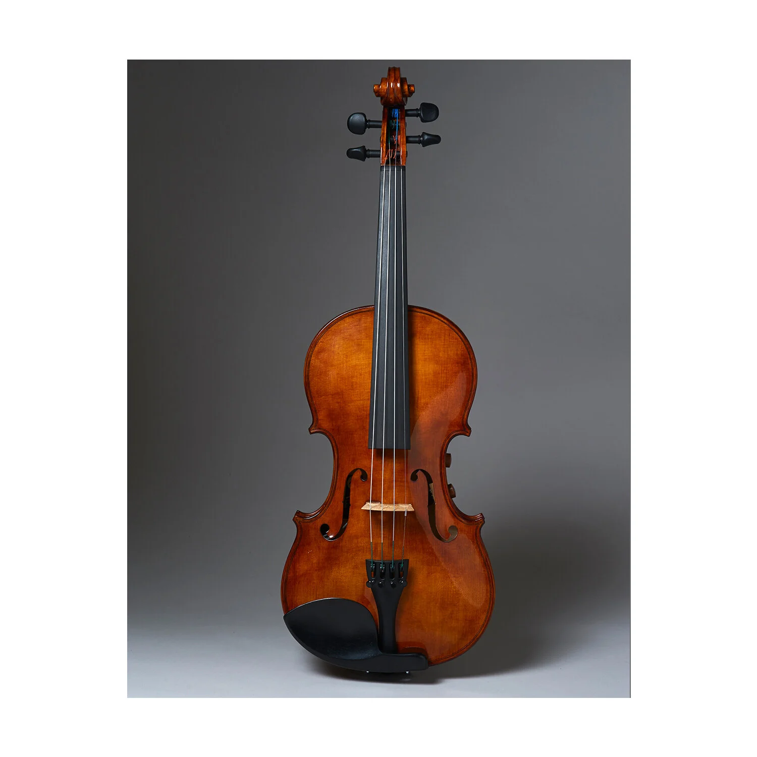 Realist RV4 PRO Series 4-String String Electric-Acoustic Violin 