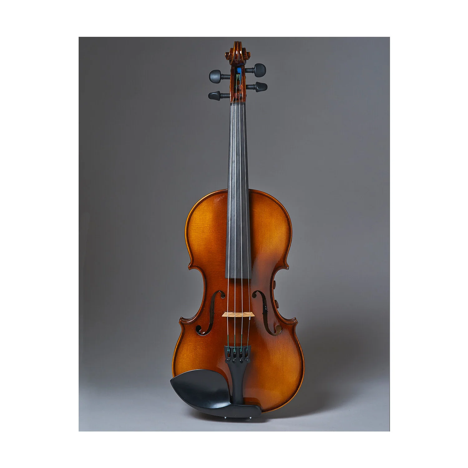 Realist RV4 PRO Series 4-String String Electric-Acoustic Violin 