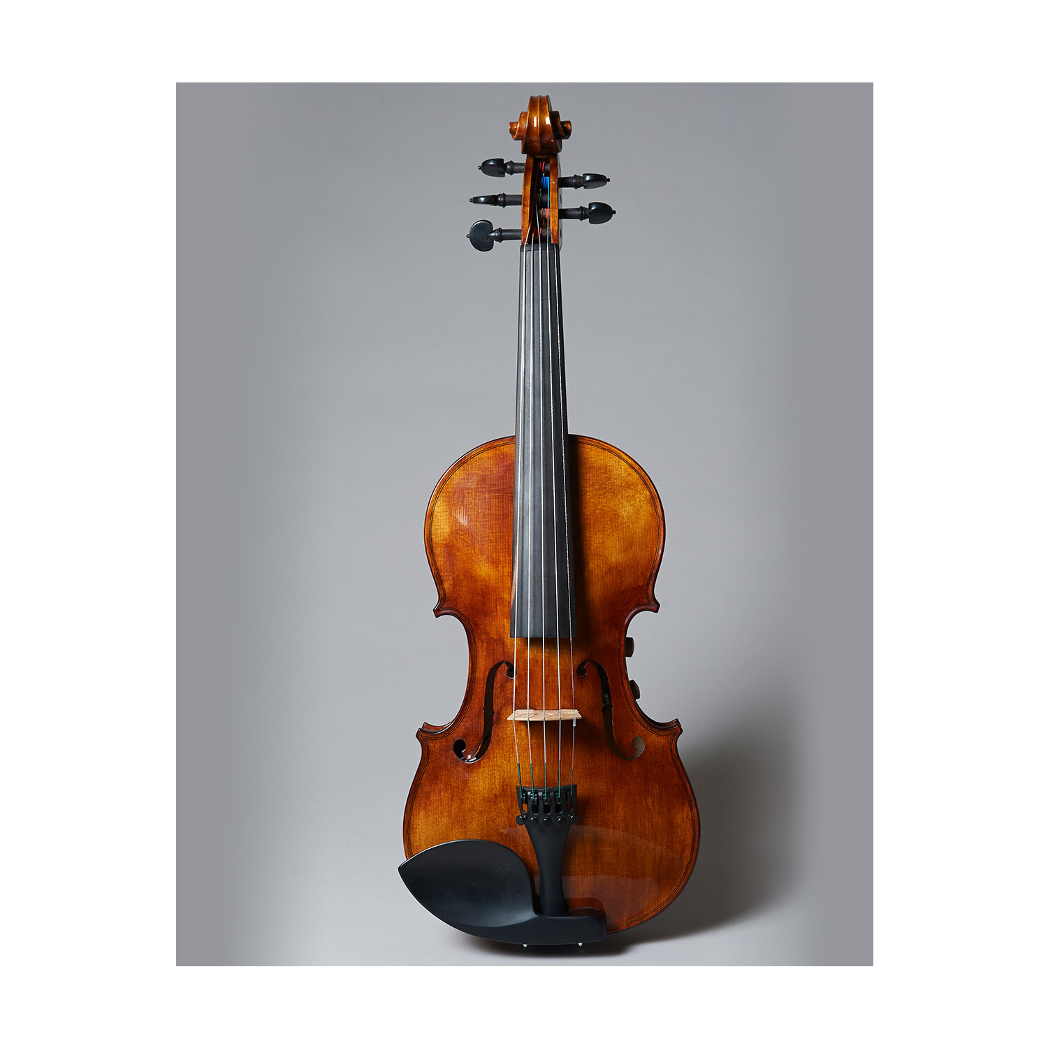 Skærpe destillation Helligdom Realist RV5 PRO Series 5-String String Electric-Acoustic Violin For Sale —  Vermont Violins