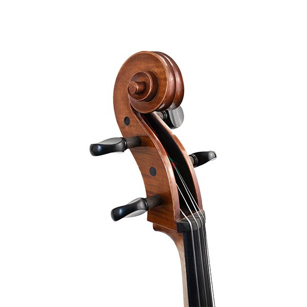 Demeter Cello