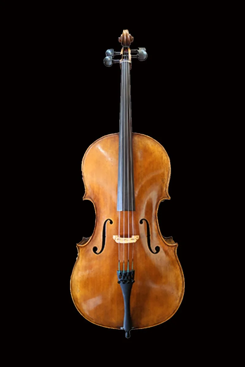 Gatchell - STEFAN PETROV CELLO SPC