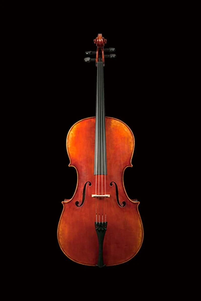 Gatchell - NICOLAS PAROLA CP30E CELLO