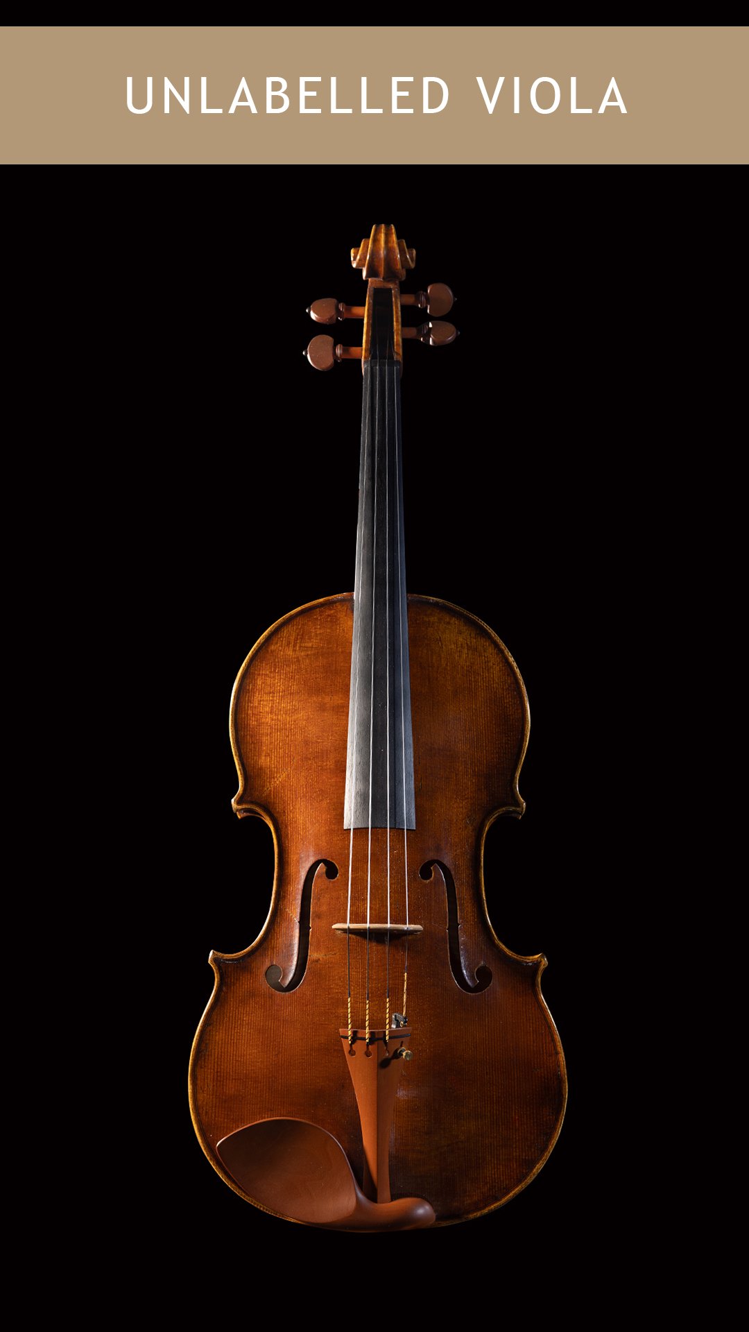 Unlabelled-Viola-Front.jpg