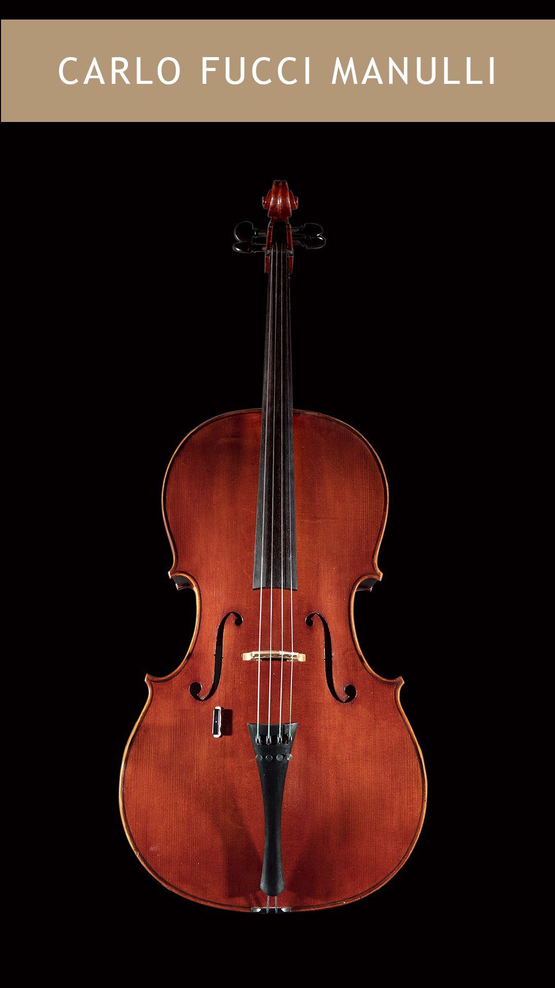 Carrie-Scoggins-Cello-Front.jpg